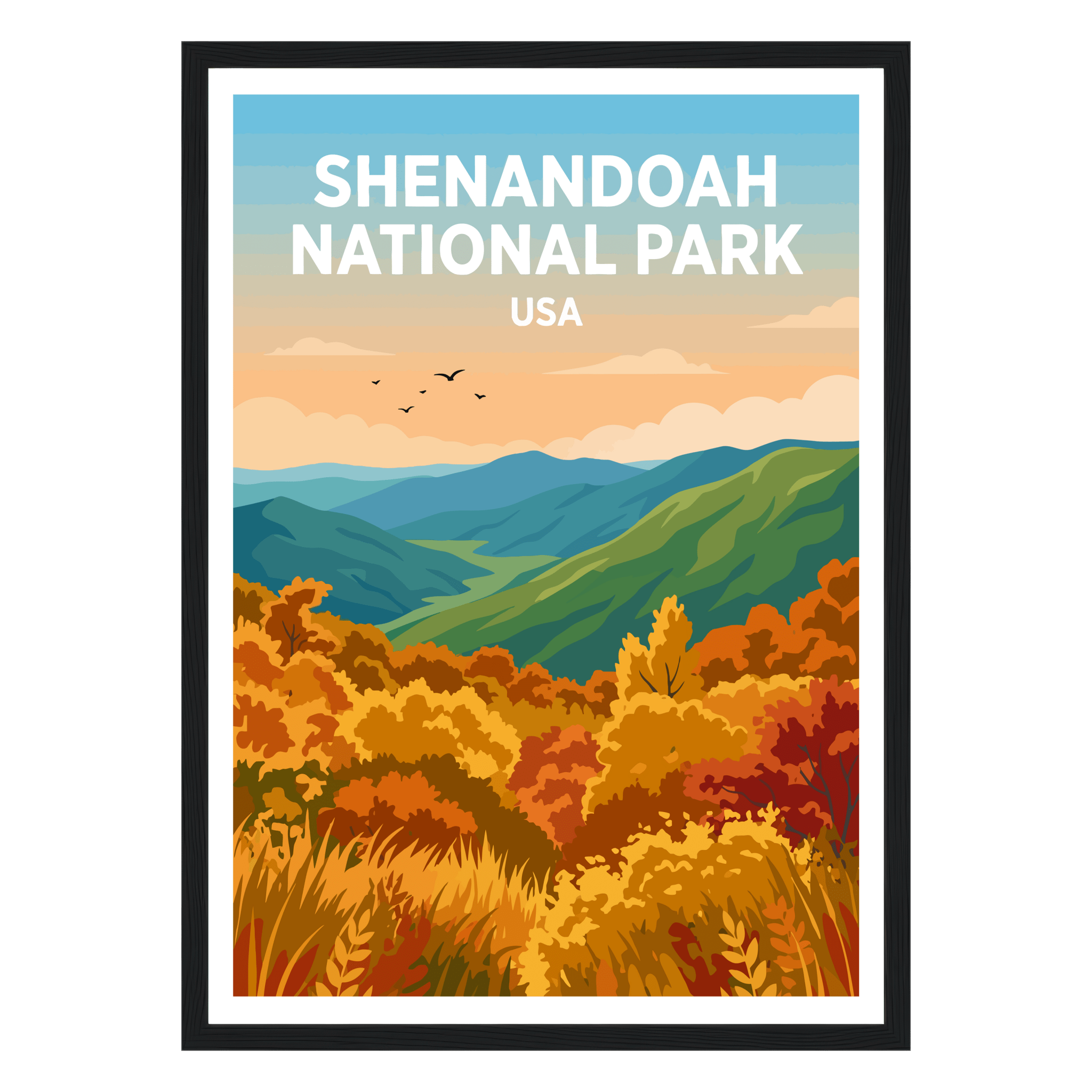 Shenandoah National Park