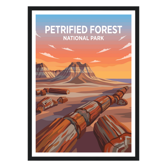 Petrified Forest National Park