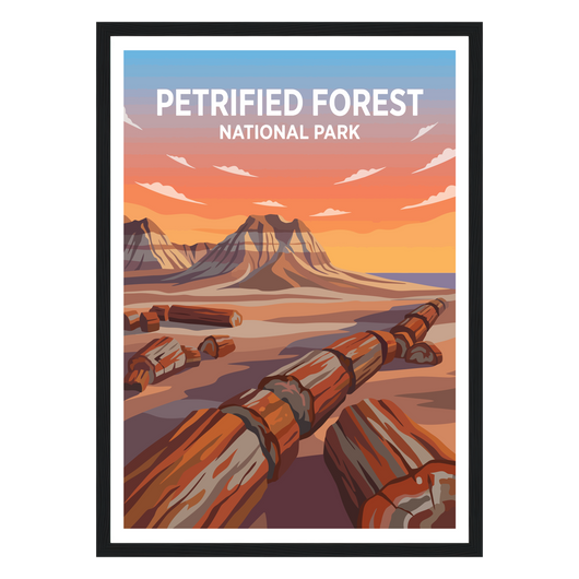 Petrified Forest National Park