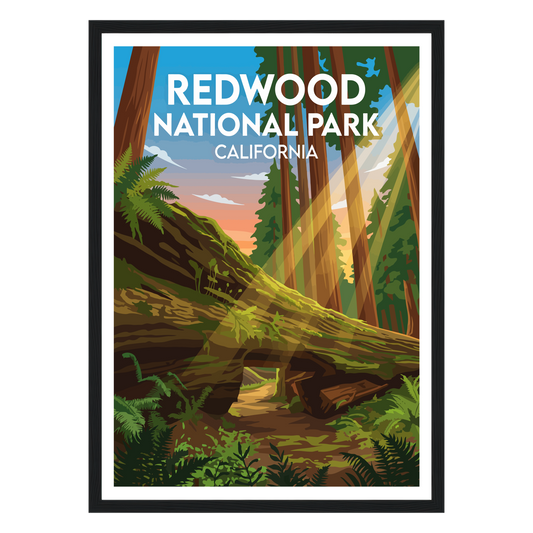 Redwood National Park