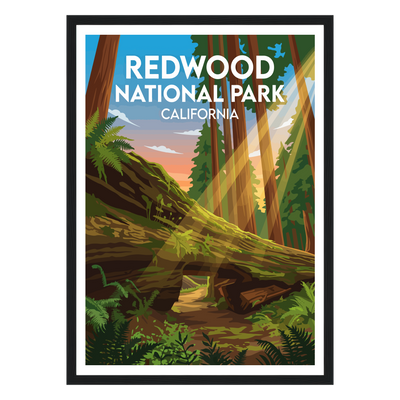 Redwood National Park
