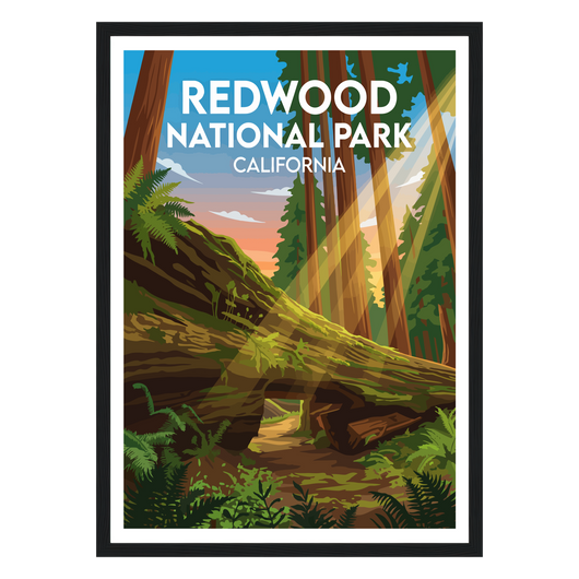Redwood National Park