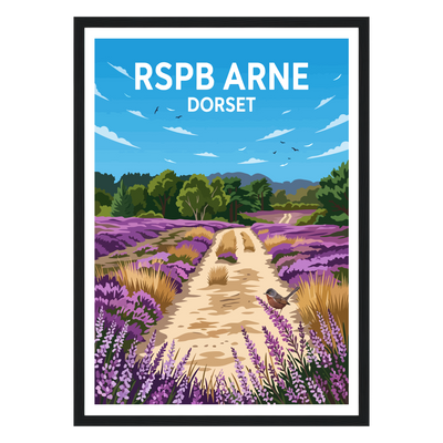 Rspb Arne