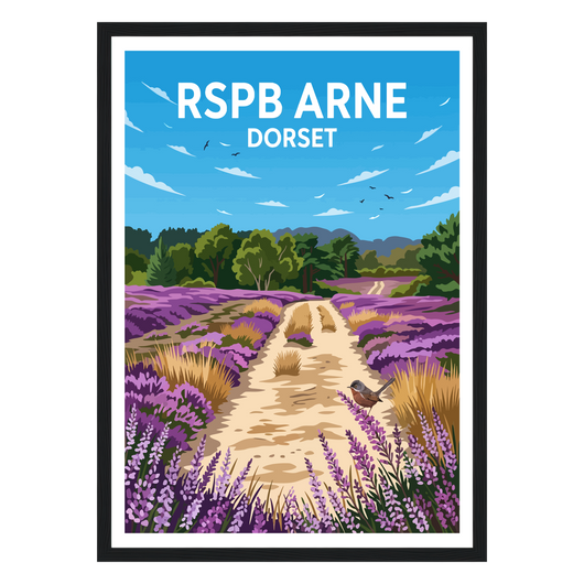Rspb Arne