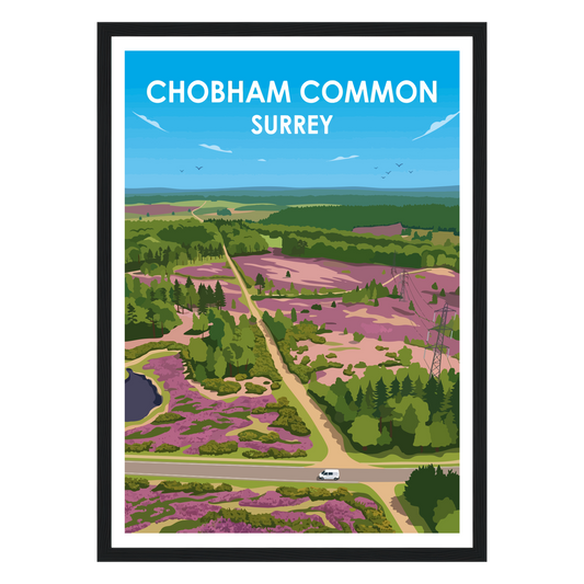 Chobham Common