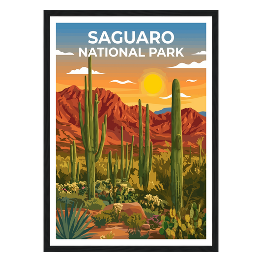 Saguaro National Park