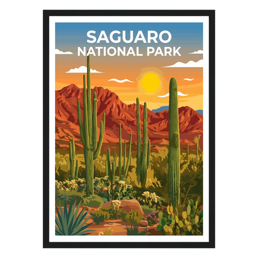 Saguaro National Park