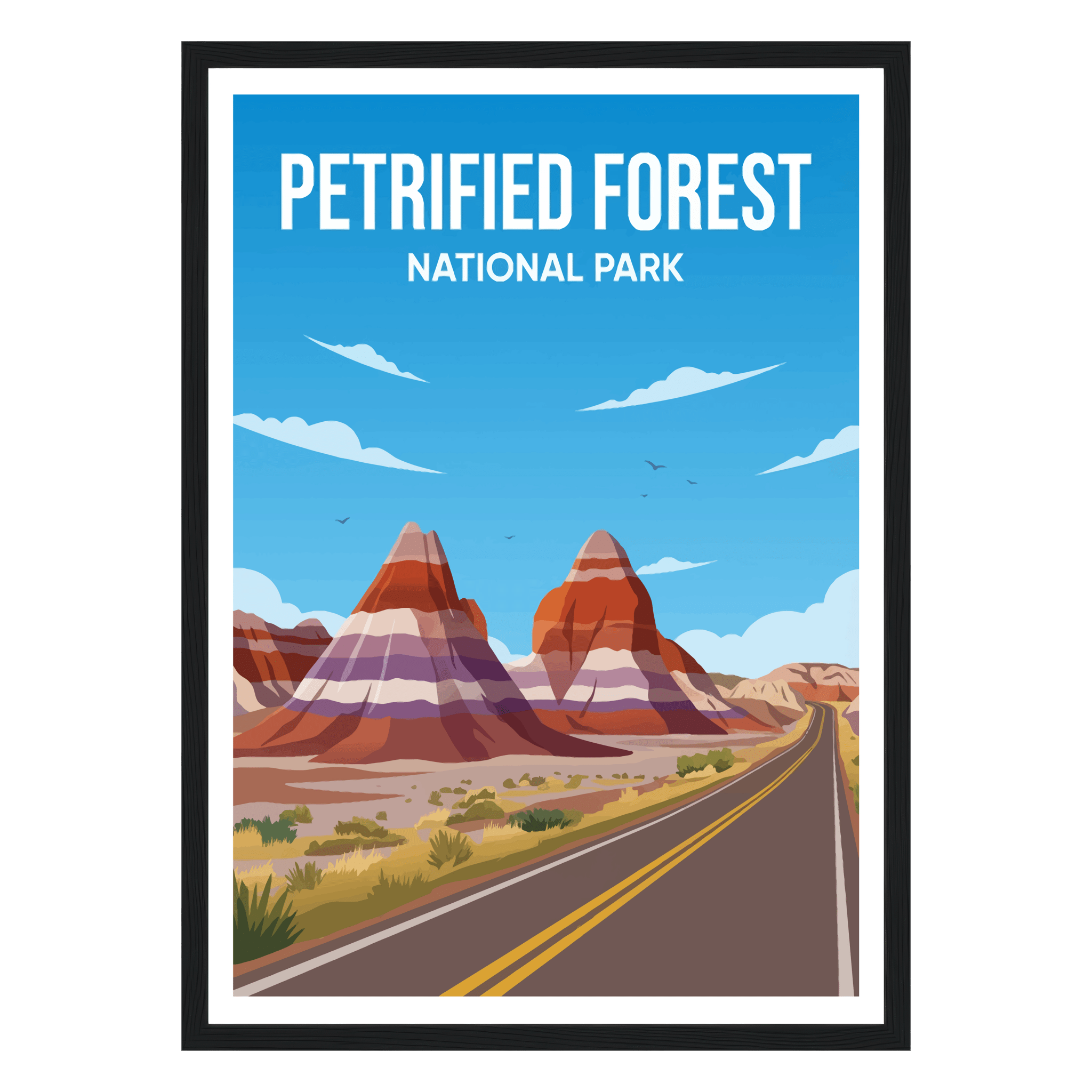 Petrified Forest National Park