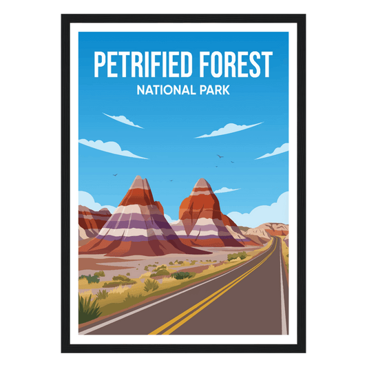Petrified Forest National Park