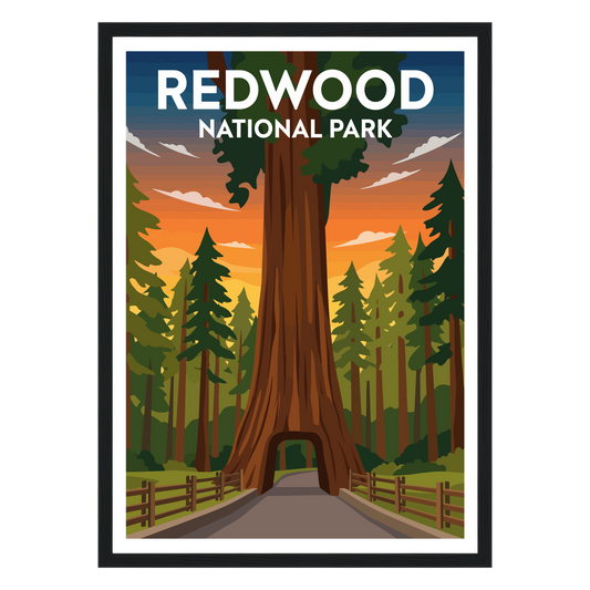 Redwood National Park