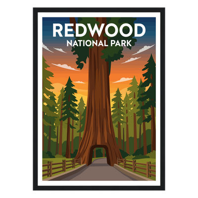 Redwood National Park