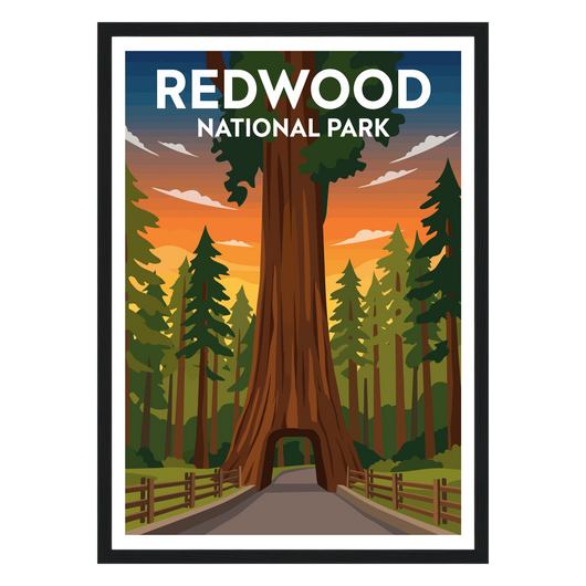Redwood National Park