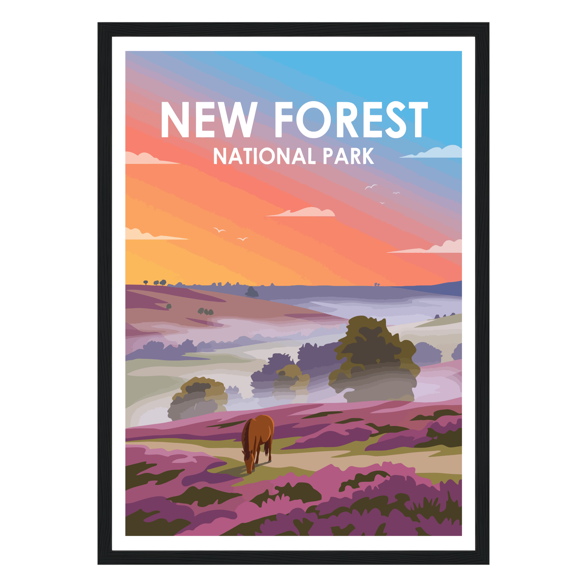 New Forest National Park