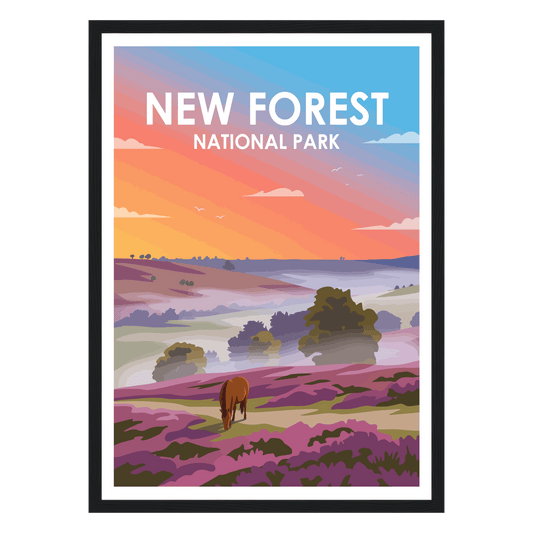 New Forest National Park