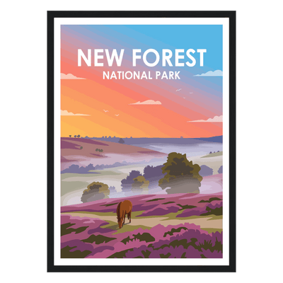 New Forest National Park
