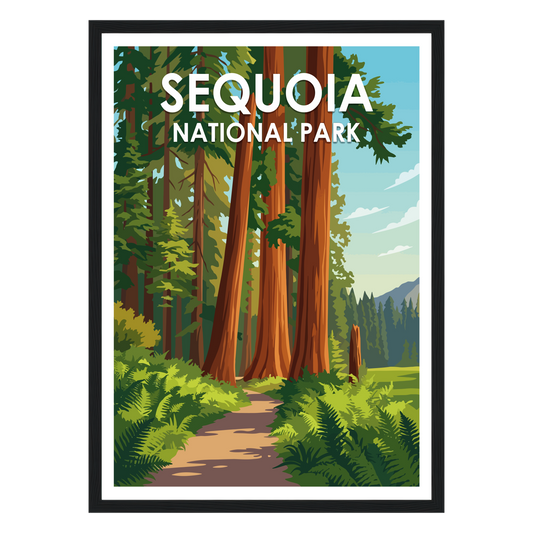 Sequoia National Park