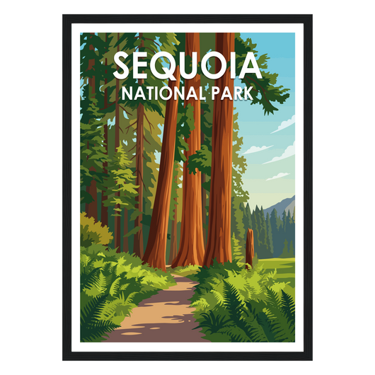 Sequoia National Park