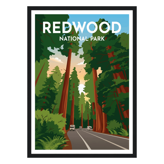 Redwood National Park