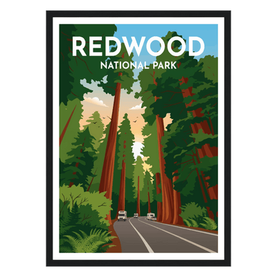 Redwood National Park