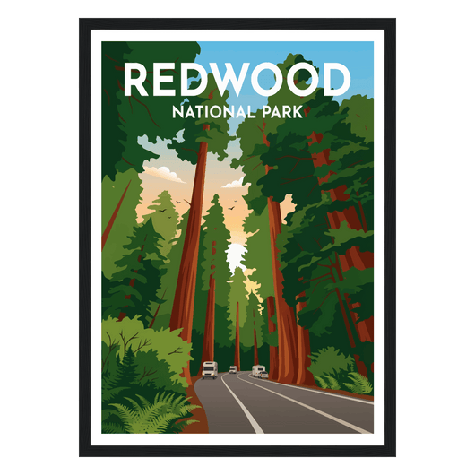 Redwood National Park