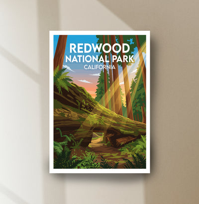 Redwood National Park