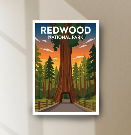 Redwood National Park