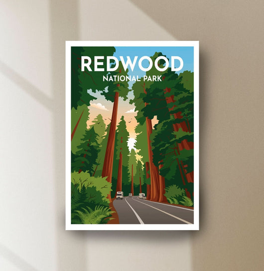 Redwood National Park