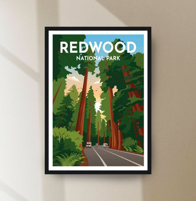 Redwood National Park