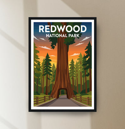 Redwood National Park