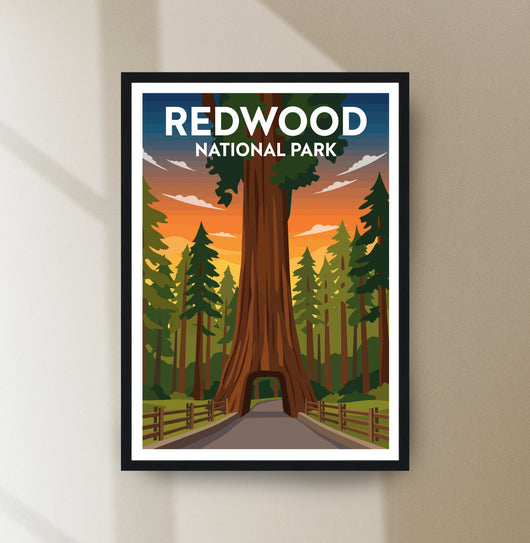 Redwood National Park