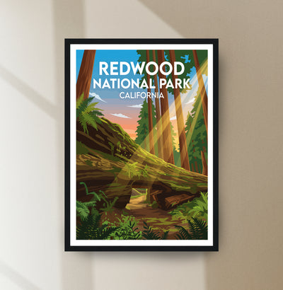 Redwood National Park