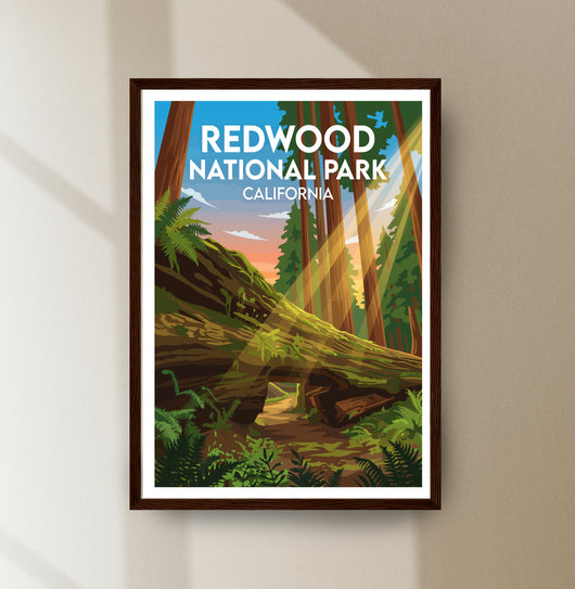 Redwood National Park