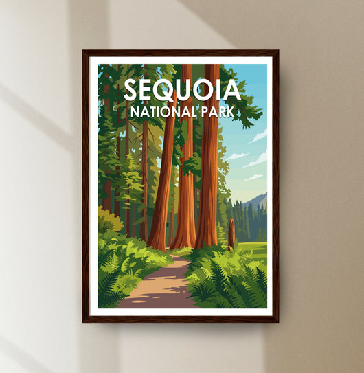 Sequoia National Park
