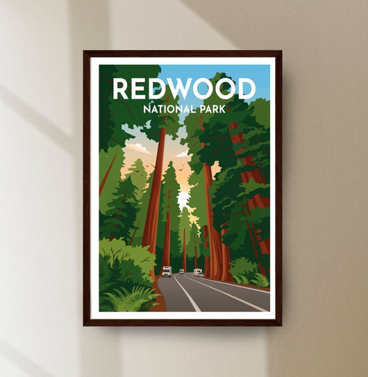 Redwood National Park