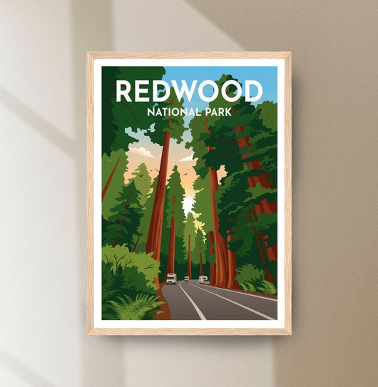 Redwood National Park