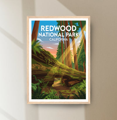 Redwood National Park