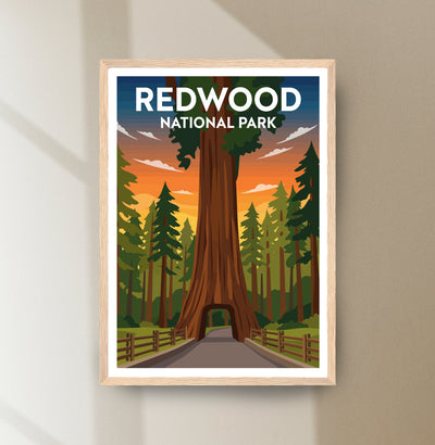 Redwood National Park