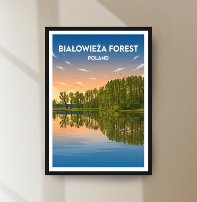 Białowieża Forest