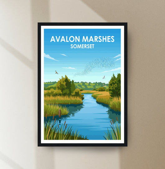 Avalon Marshes