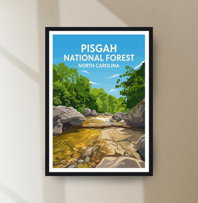 Pisgah National Forest