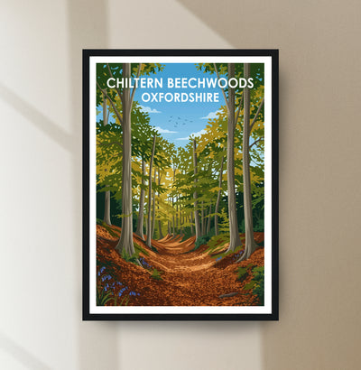 Chiltern Beechwoods