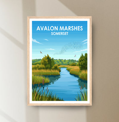 Avalon Marshes