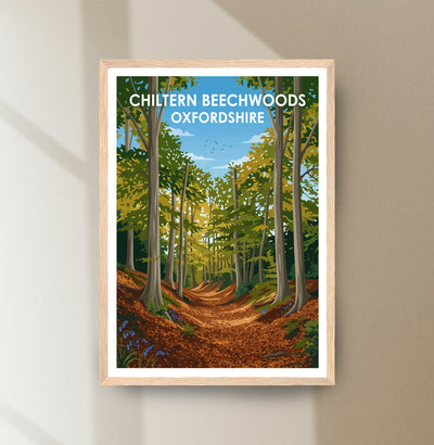 Chiltern Beechwoods