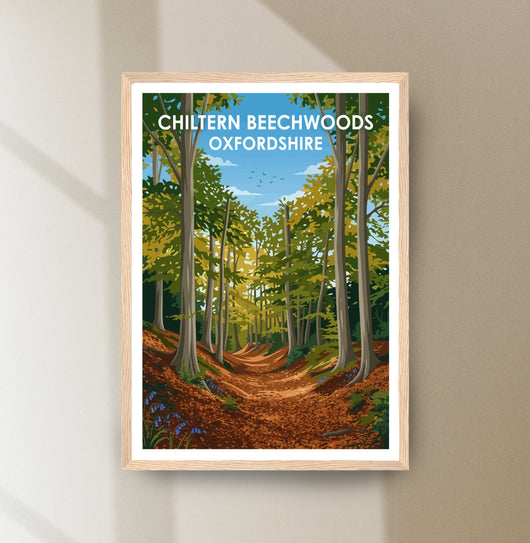 Chiltern Beechwoods