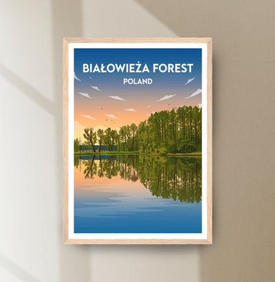 Białowieża Forest