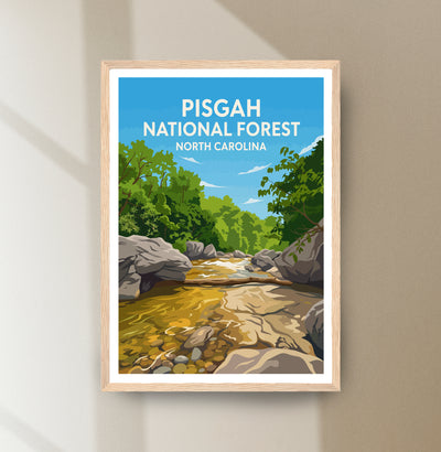 Pisgah National Forest