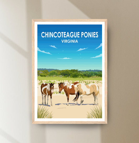 Chincoteague Ponies