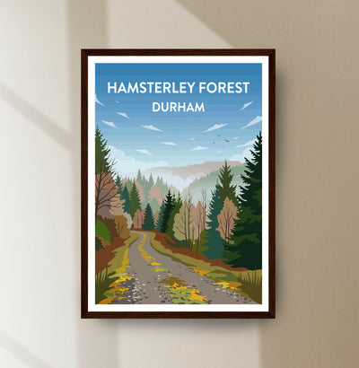 Hamsterley Forest