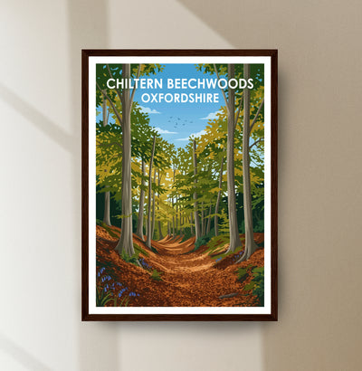 Chiltern Beechwoods