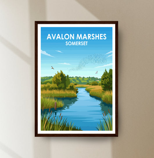 Avalon Marshes